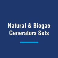 Gas Generator Sets